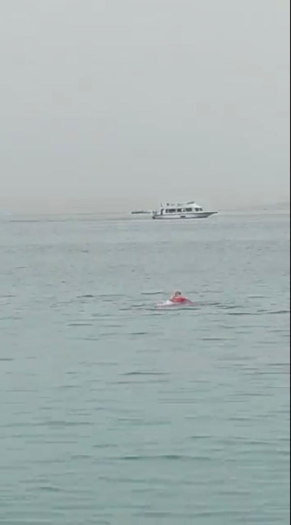 Screengrab video shark attack.