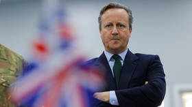 Cameron's Libya experience helped him oversee UK airstrikes on Houthis – media