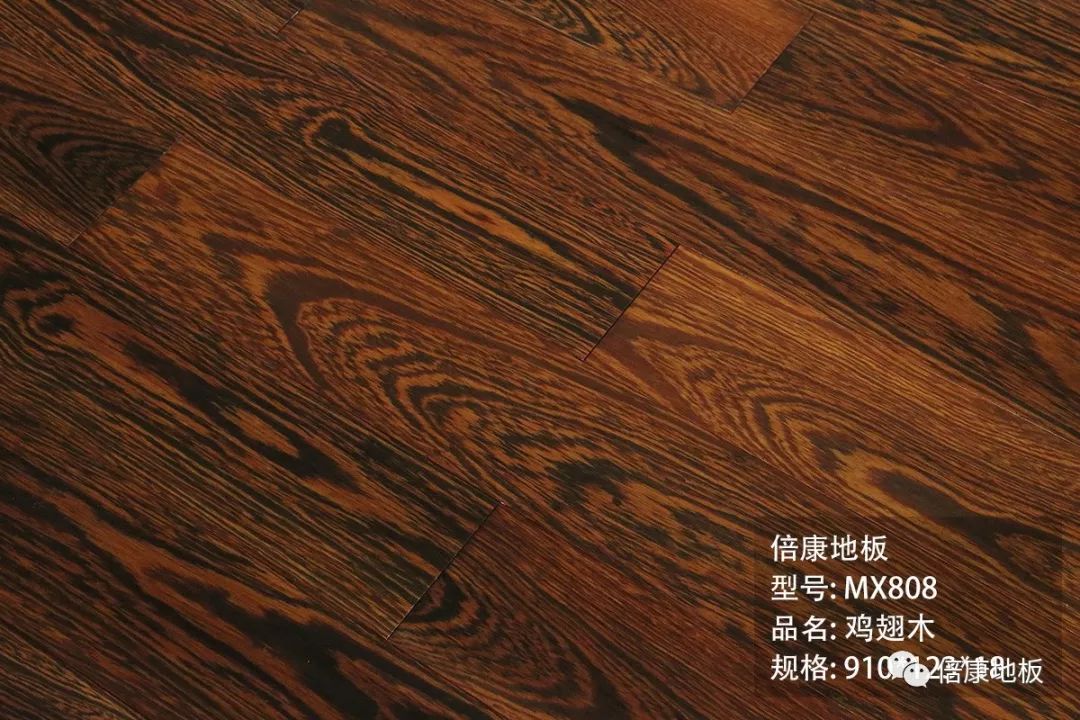 科技点燃梦想创新引领未来_酷悠：打造全新数字娱乐体验,引领未来科技潮流_创新引领发展科技赢得未来