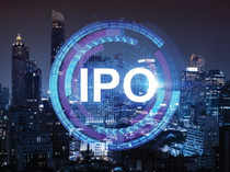 Divine Power Energy plans to launch IPO by March; eyes Rs 100 crore turnover by 2026