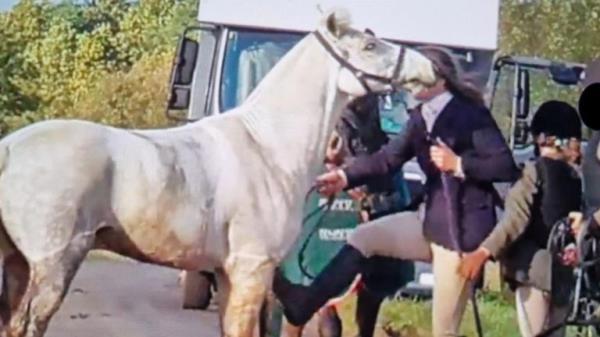 Moulds 'chastised' a grey pony named Bruce Almighty