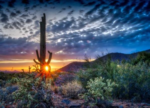 Scottsdale Arizona